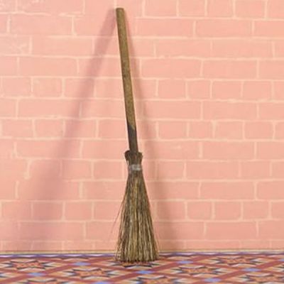 Natural Sweeping Brush/Broom                                