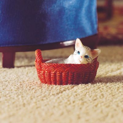 Kitty in her Basket (PR)                                    