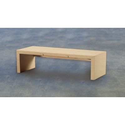 Modern Low Table/Shelf