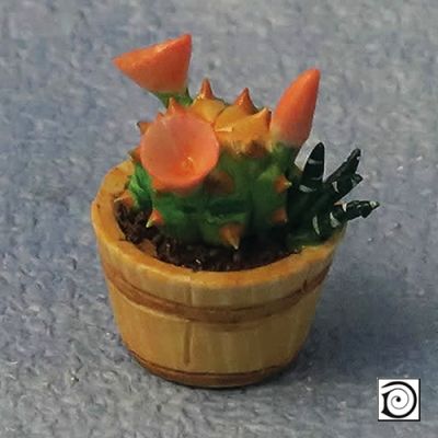 3pc Cactus in bowl