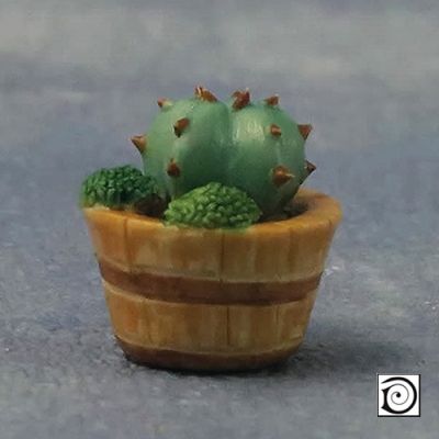 Mini Cactus in pot