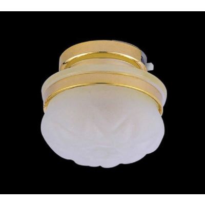 Frosted Ceiling Light LED