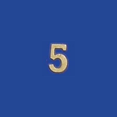 Brass House Number (5)