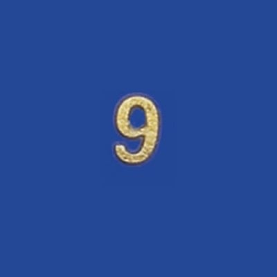 Brass House Number (single number9)