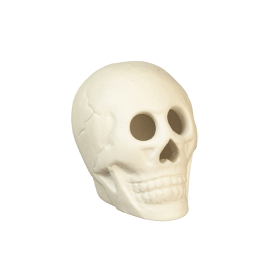 Halloween Skull
