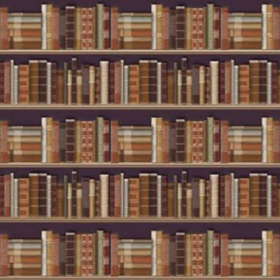 Traditional Bookcase Wallpaper (A2 size)            
