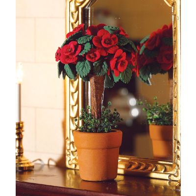Standard Pink Plant in Pot