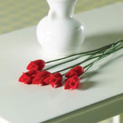 Red Tulips, 6 pcs                                           