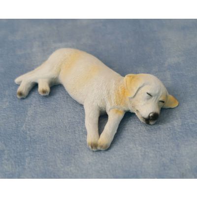 Ben the Sleepy Labrador (PR)                                