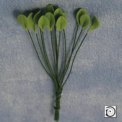 Single leaf 12 pcs                                         