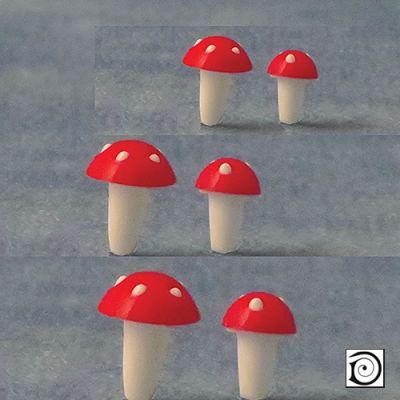 6 Asst Toadstool 