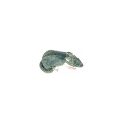 Mice asst.