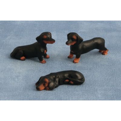 Daschund Dog Black Smooth Hair Pk 3