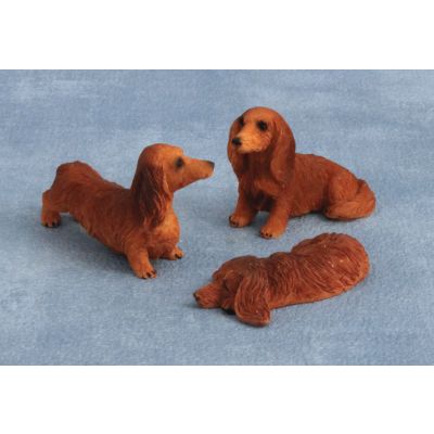 Daschund Dog Brown Long Hair Pk 3