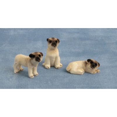 Pug Dogs Pk 3
