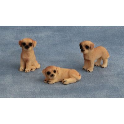 Labrador Puppy Dog Yellow Pk 3