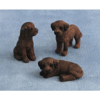 Labrador Puppy Dog Chocolate Pk 3