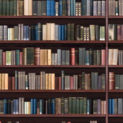 Traditional Bookcase Library Wallpaper (A3 size)            