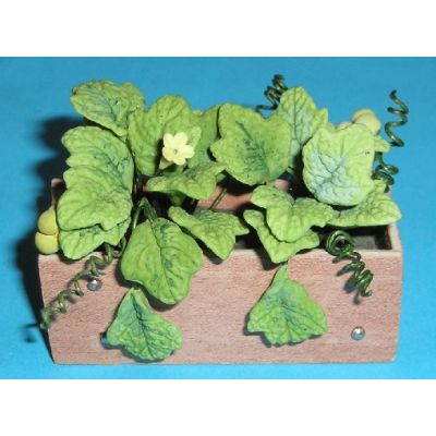 Flower Box with Vines