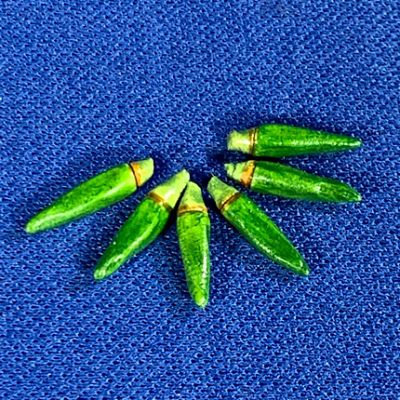 Chillies Green PK 6