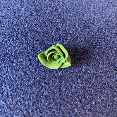 Cabbage  / lettuce